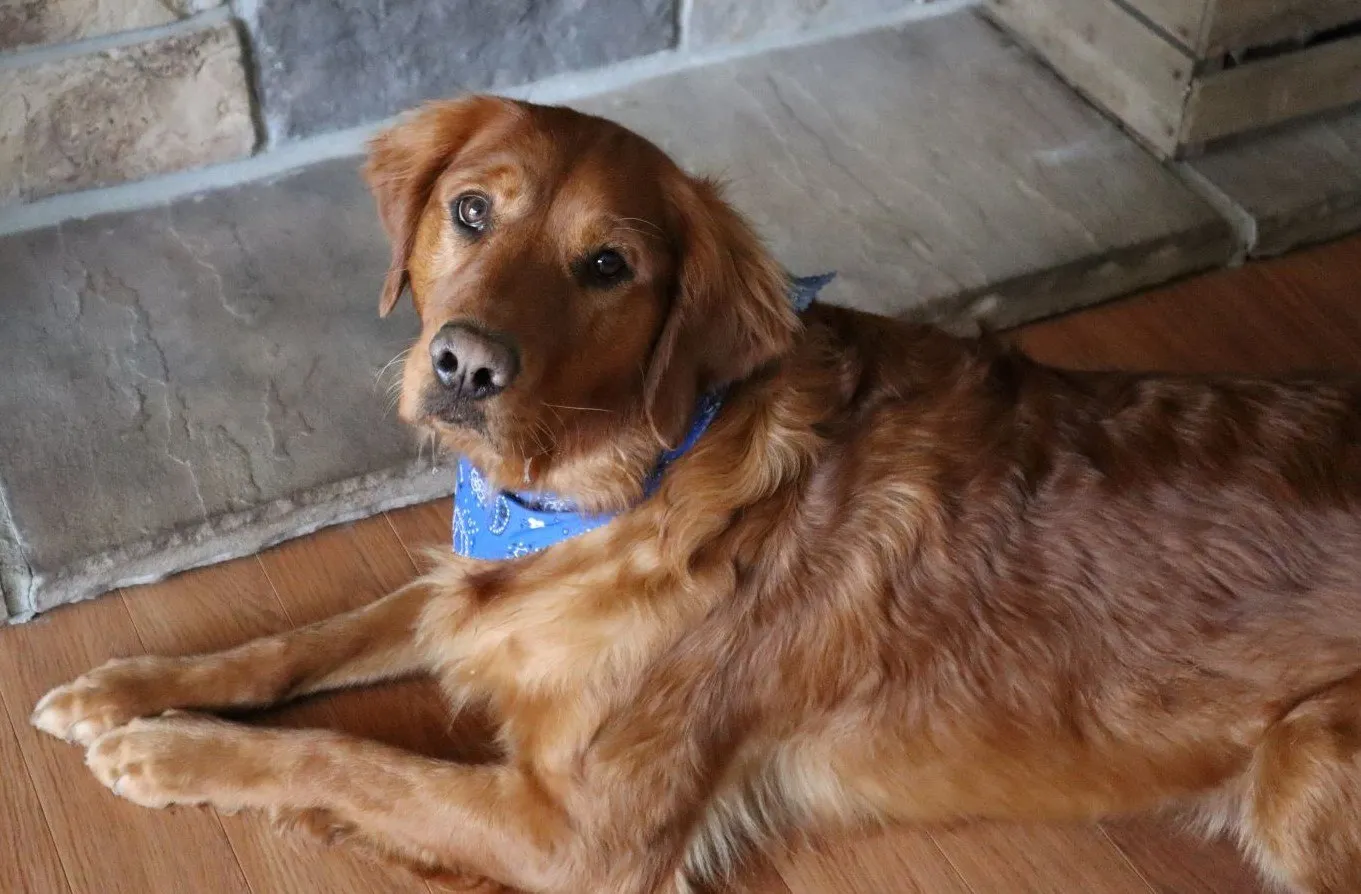 Tally Dega, foundation dam of One Golden Moment
